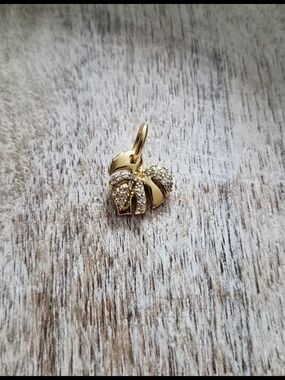 Pandora Monstera Leaf Dangle Charm